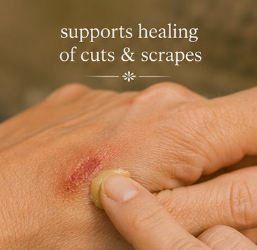 Close-up of a hand with a small cut or scrape with Meadowlake Farm Wound Salve being applied with overlaid text reading 'supports healing of cuts & scrapes' on a blurred warm brown background.