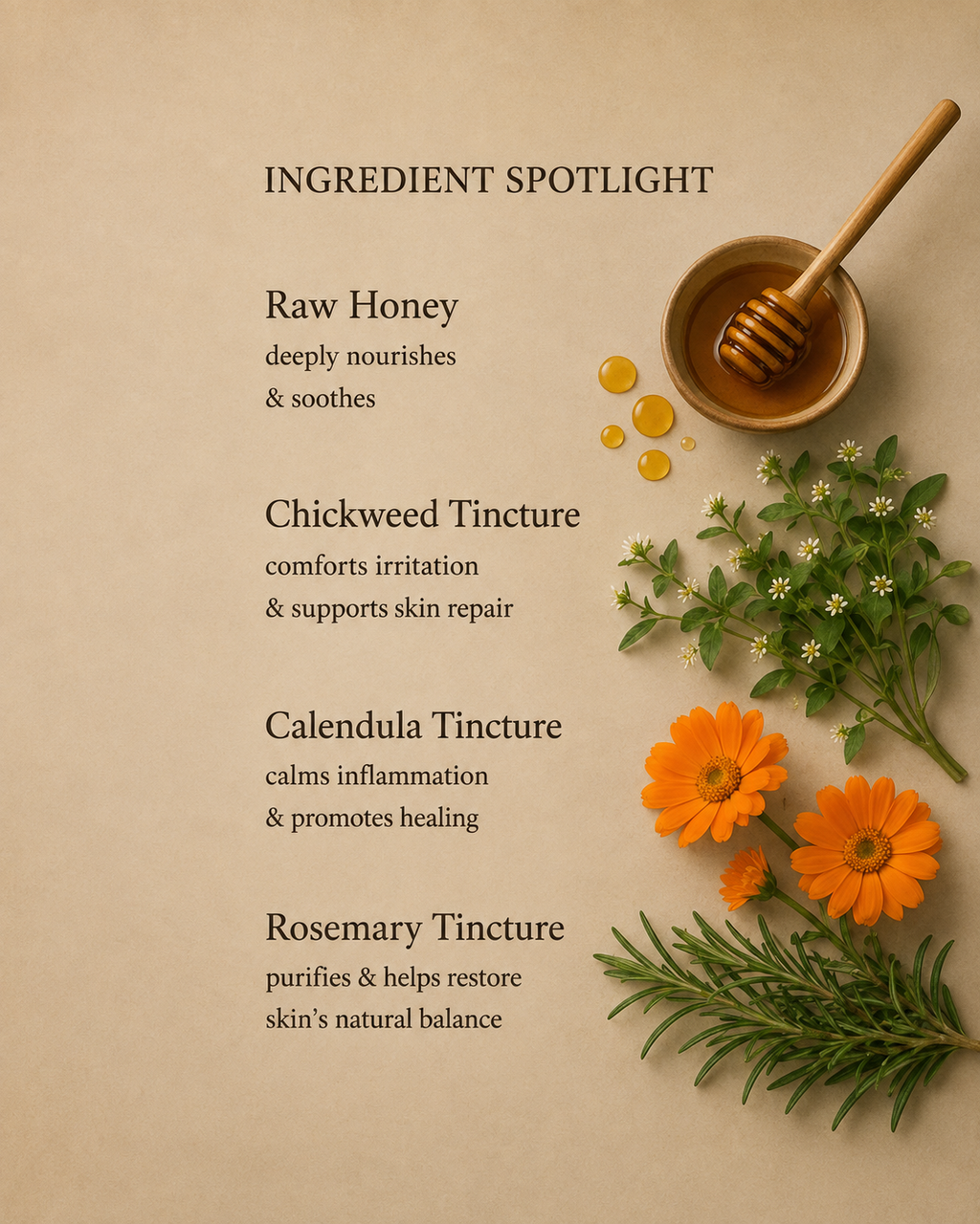 A styled ingredient spotlight graphic on a warm beige background, featuring text about Raw Honey, Chickweed Tincture, Calendula Tincture, and Rosemary Tincture alongside decorative botanical elements including a honey dipper, honey droplets, orange flowers, and rosemary sprigs.