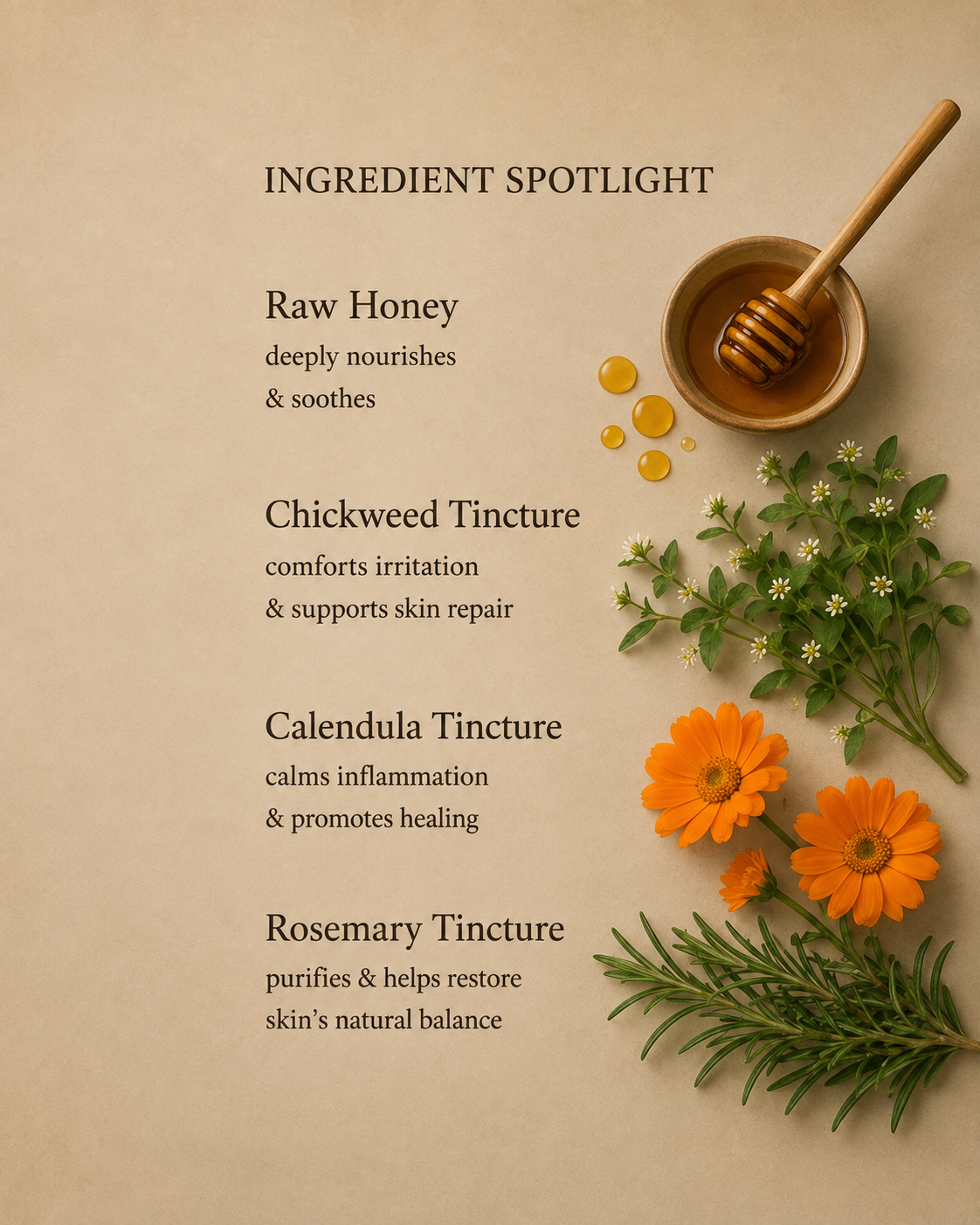 A styled ingredient spotlight graphic on a warm beige background, featuring text about Raw Honey, Chickweed Tincture, Calendula Tincture, and Rosemary Tincture alongside decorative botanical elements including a honey dipper, honey droplets, orange flowers, and rosemary sprigs.